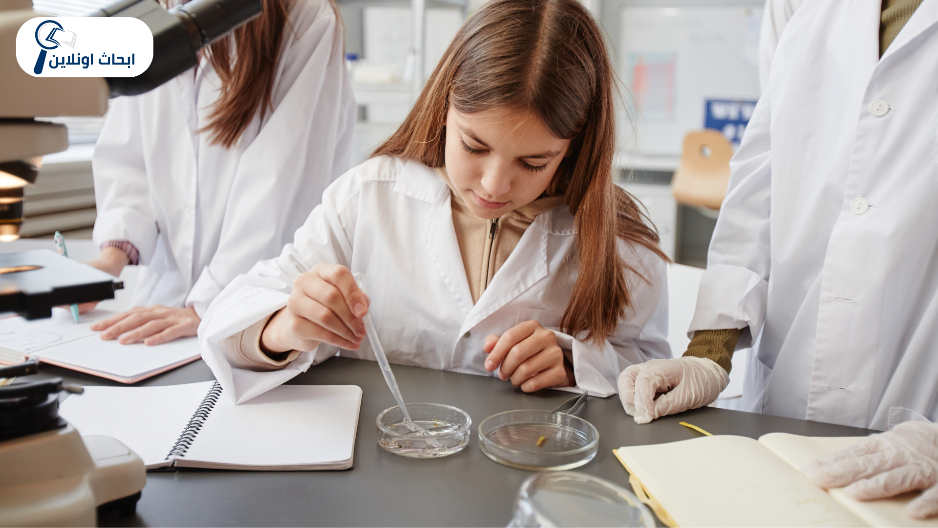 معنى البحث العلمي معنى البحث العلمي